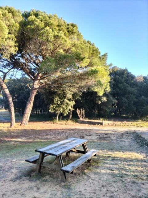 Les Salines Boyardville - Appart'Hotel Saint-Pierre-d'Oleron Luaran gambar