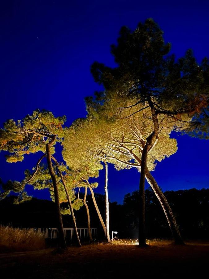 Les Salines Boyardville - Appart'Hotel Saint-Pierre-d'Oleron Luaran gambar
