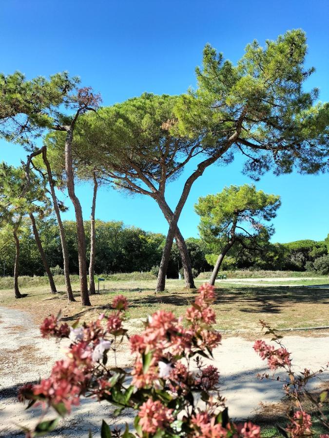 Les Salines Boyardville - Appart'Hotel Saint-Pierre-d'Oleron Luaran gambar