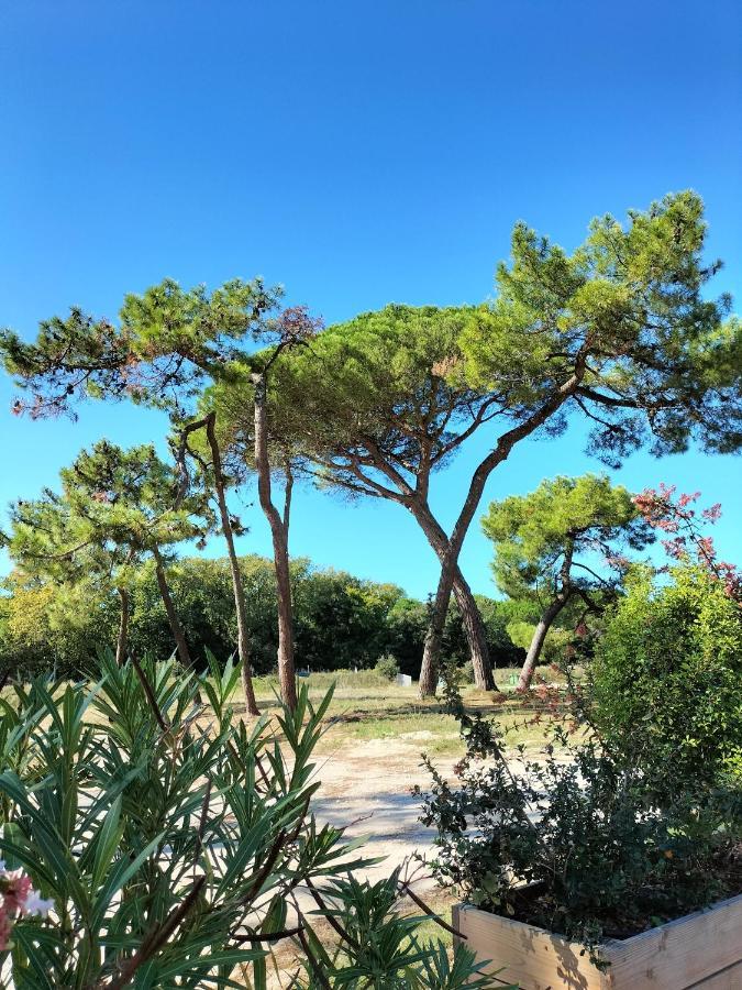 Les Salines Boyardville - Appart'Hotel Saint-Pierre-d'Oleron Luaran gambar